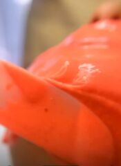 GSG-02-001 — Brezilya Acai Üzümleri ile